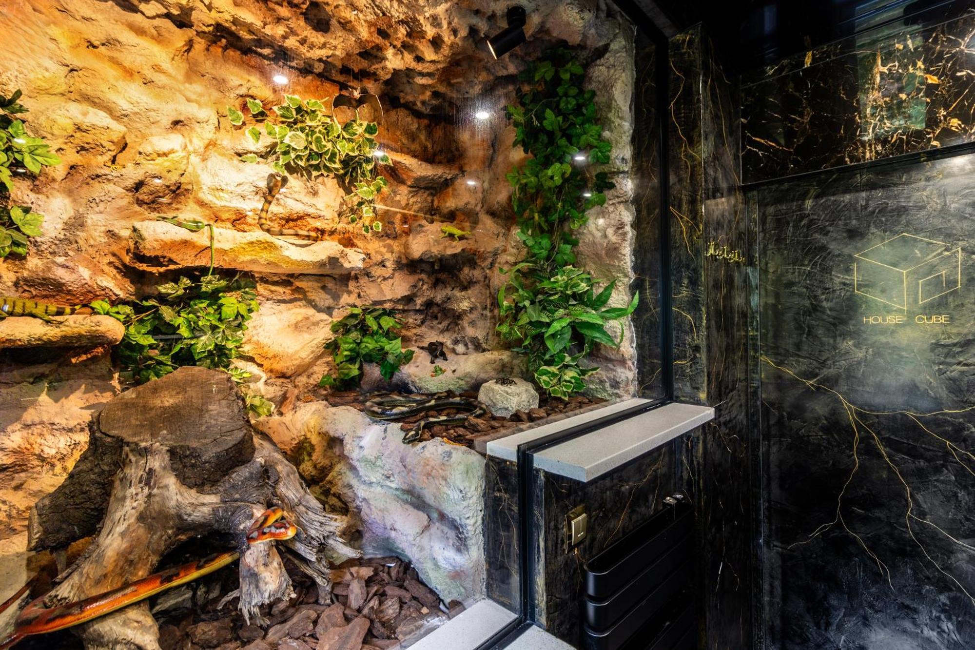 Willa Housecube, Bar , Prywatne Kino, Bilard , Luxus Wrocław Zewnętrze zdjęcie